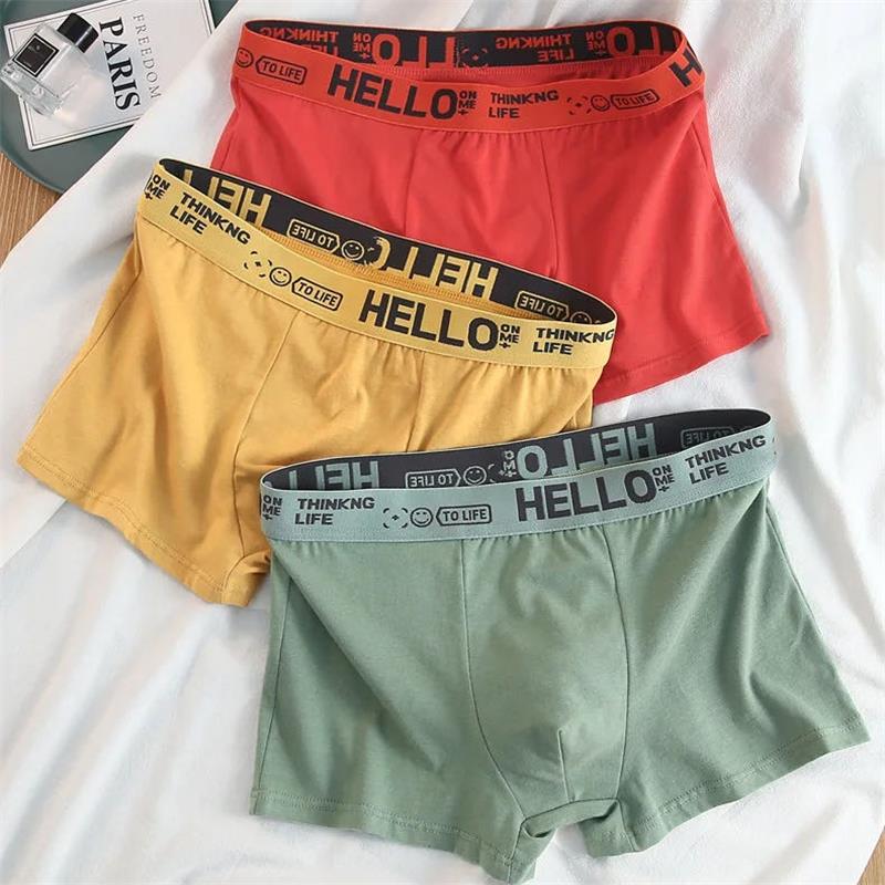 10Pieces/ Men's Underwear Men  – Boxer Shorts Modal recenzja i cena