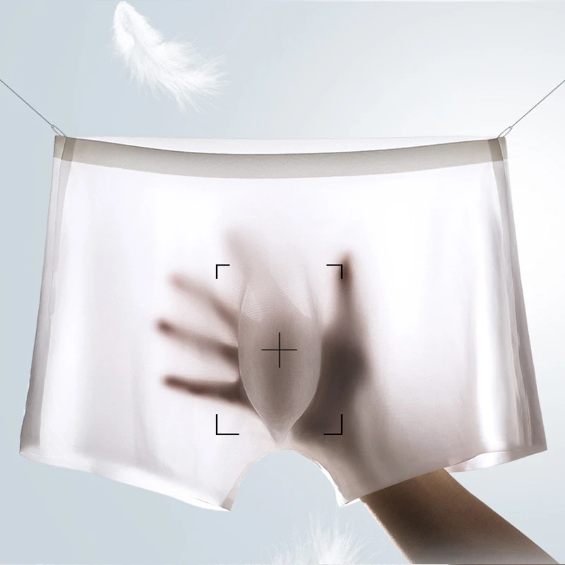 10 Pcs/Lot Men's Summer Ice Si – Multi Pack Underwear recenzja i cena